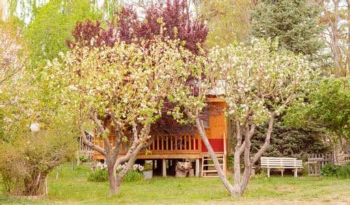 Hosteria La Farfalla Chos Malal Bagian luar foto
